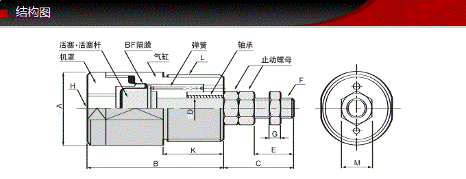 FCS-20-22-S0/S1-P藤倉標(biāo)準(zhǔn)氣缸(圖6)