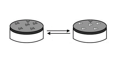 如何理解電化學(xué)氣體傳感器的優(yōu)缺點?